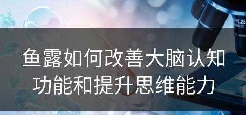 鱼露如何改善大脑认知功能和提升思维能力